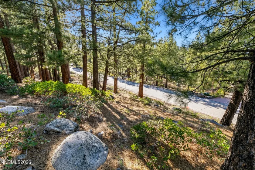 1205 Douglas Fir, Reno, Nevada 89511, ,Land,Residential,Douglas Fir,0,260001048