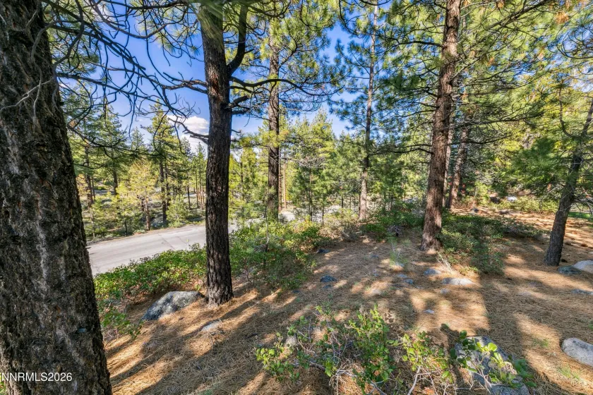 1205 Douglas Fir, Reno, Nevada 89511, ,Land,Residential,Douglas Fir,0,260001048