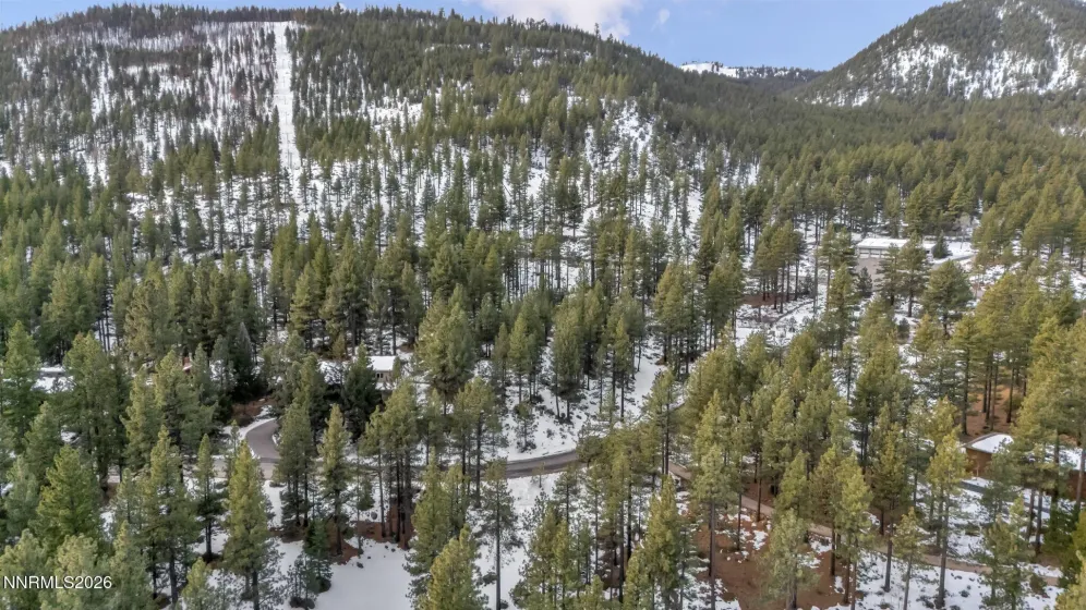 1205 Douglas Fir, Reno, Nevada 89511, ,Land,Residential,Douglas Fir,0,260001048
