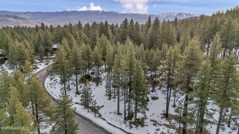 1205 Douglas Fir, Reno, Nevada 89511, ,Land,Residential,Douglas Fir,0,260001048