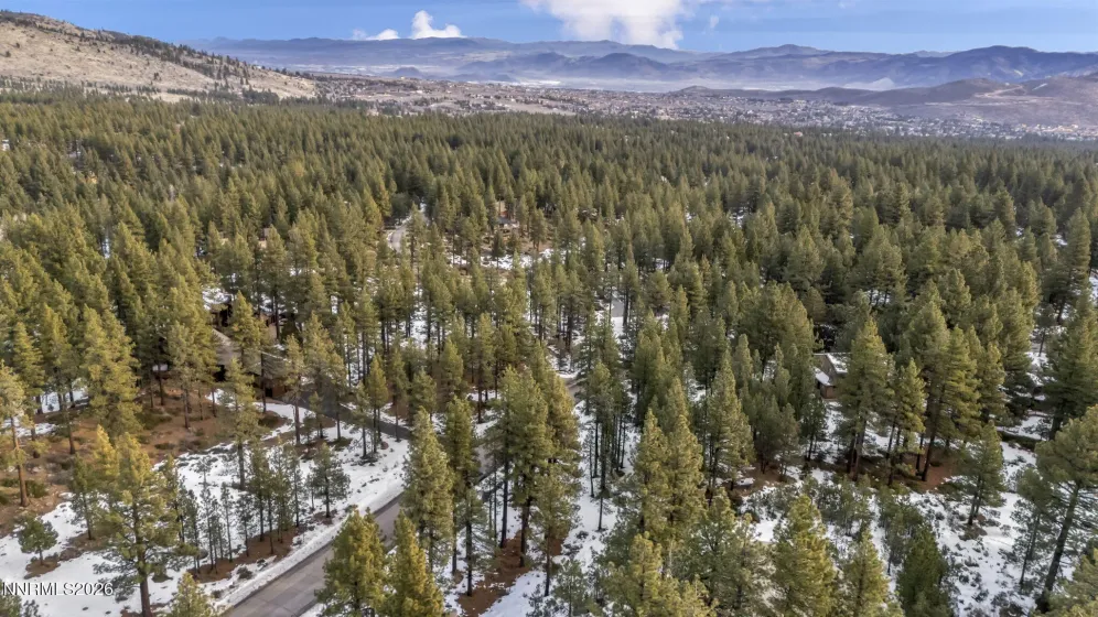 1205 Douglas Fir, Reno, Nevada 89511, ,Land,Residential,Douglas Fir,0,260001048