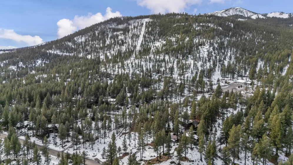 1205 Douglas Fir, Reno, Nevada 89511, ,Land,Residential,Douglas Fir,0,260001048
