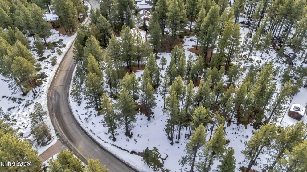 1205 Douglas Fir, Reno, Nevada 89511, ,Land,Residential,Douglas Fir,0,260001048