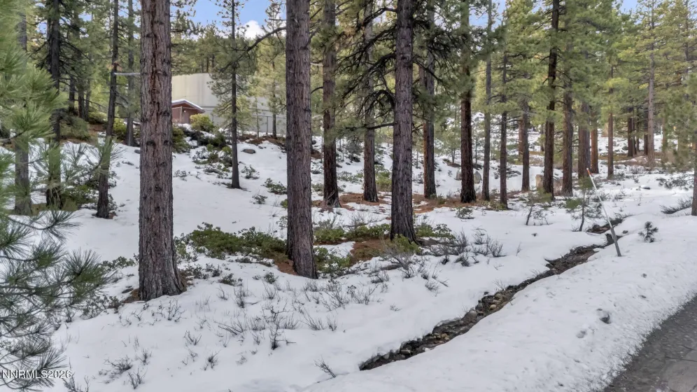 1205 Douglas Fir, Reno, Nevada 89511, ,Land,Residential,Douglas Fir,0,260001048