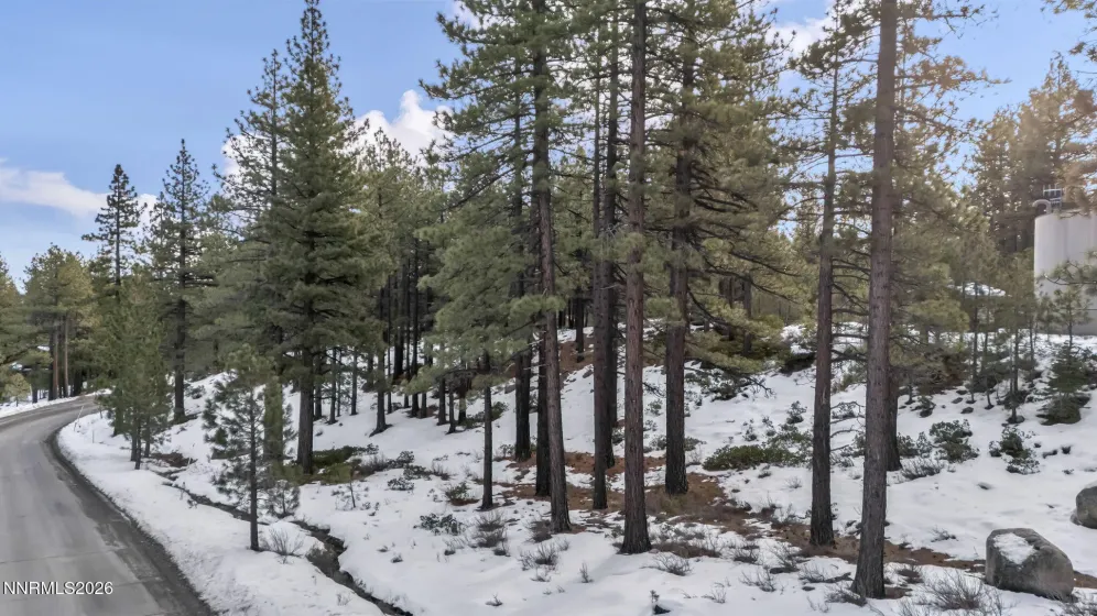 1205 Douglas Fir, Reno, Nevada 89511, ,Land,Residential,Douglas Fir,0,260001048