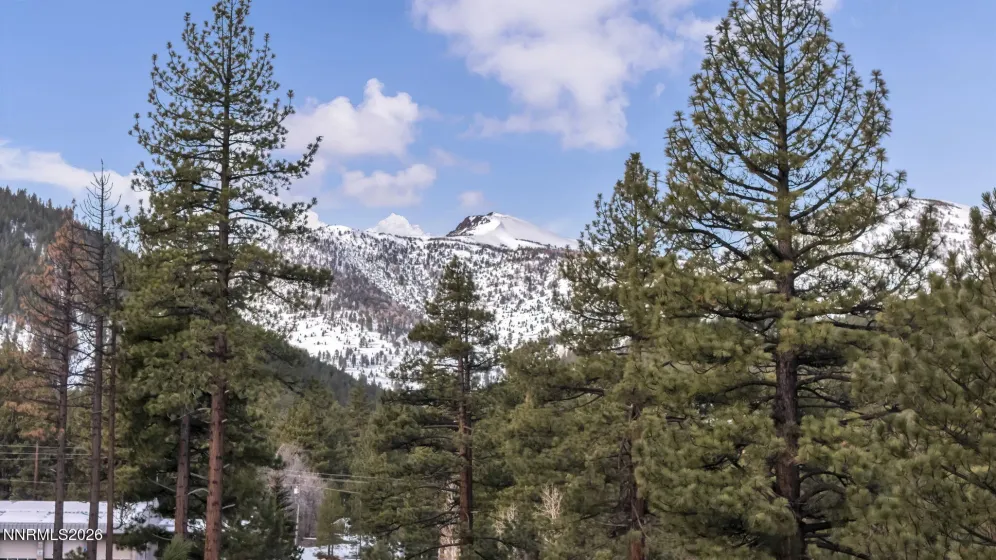 1205 Douglas Fir, Reno, Nevada 89511, ,Land,Residential,Douglas Fir,0,260001048