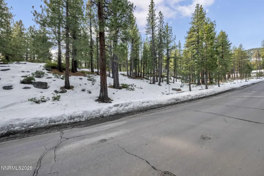 1205 Douglas Fir, Reno, Nevada 89511, ,Land,Residential,Douglas Fir,0,260001048