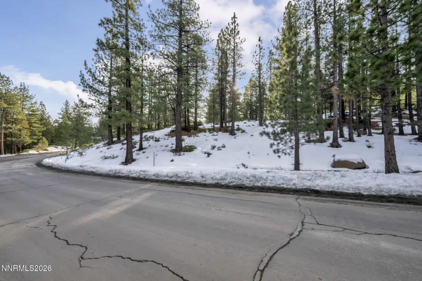 1205 Douglas Fir, Reno, Nevada 89511, ,Land,Residential,Douglas Fir,0,260001048