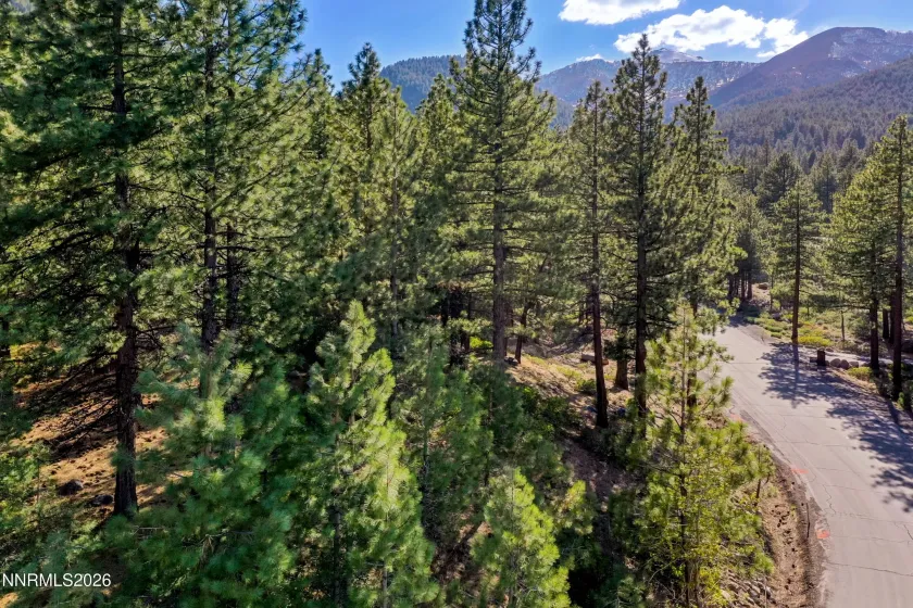 1205 Douglas Fir, Reno, Nevada 89511, ,Land,Residential,Douglas Fir,0,260001048