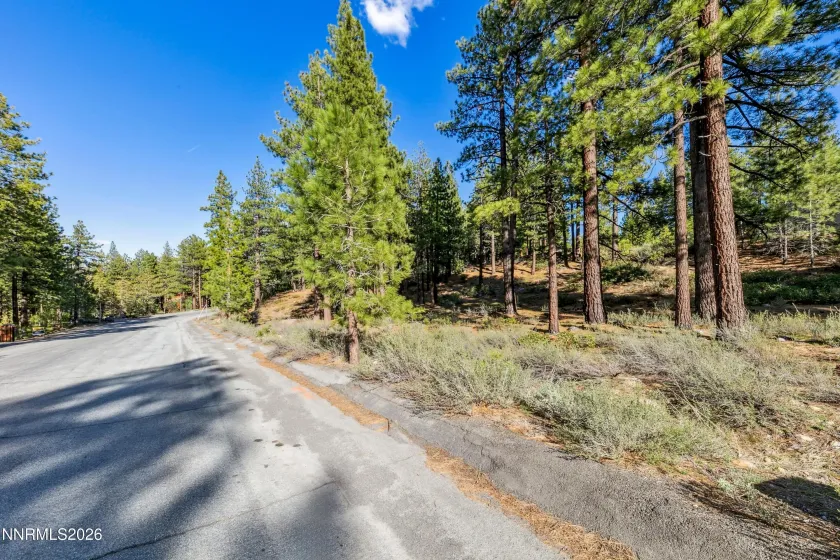 1205 Douglas Fir, Reno, Nevada 89511, ,Land,Residential,Douglas Fir,0,260001048