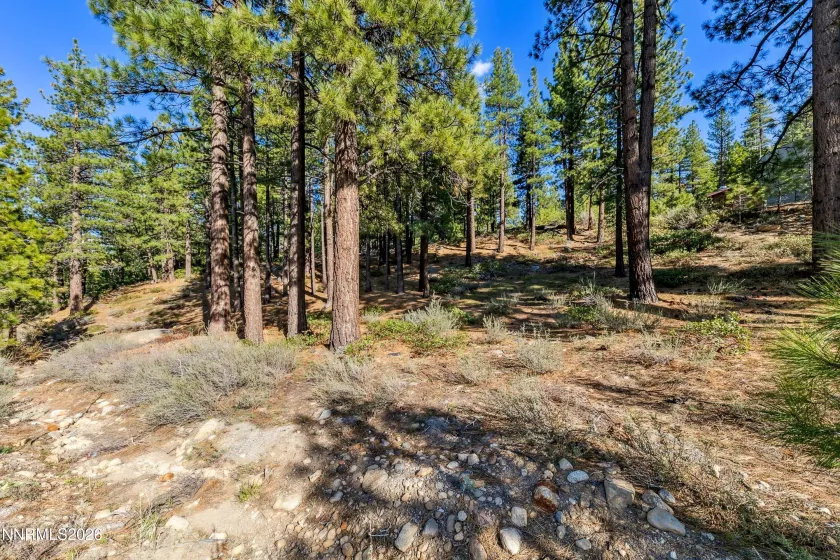 1205 Douglas Fir, Reno, Nevada 89511, ,Land,Residential,Douglas Fir,0,260001048
