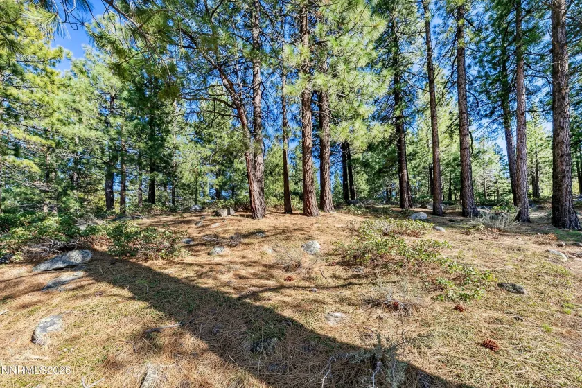 1205 Douglas Fir, Reno, Nevada 89511, ,Land,Residential,Douglas Fir,0,260001048