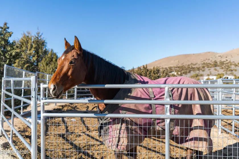 730 Encanto, Sparks, Nevada 89441, 4 Bedrooms Bedrooms, ,4 BathroomsBathrooms,Residential,Residential,Encanto,260001049