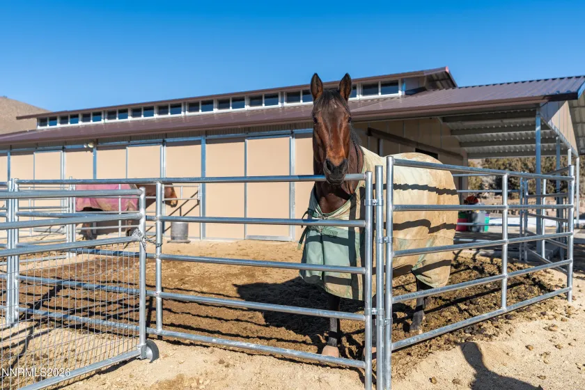 730 Encanto, Sparks, Nevada 89441, 4 Bedrooms Bedrooms, ,4 BathroomsBathrooms,Residential,Residential,Encanto,260001049