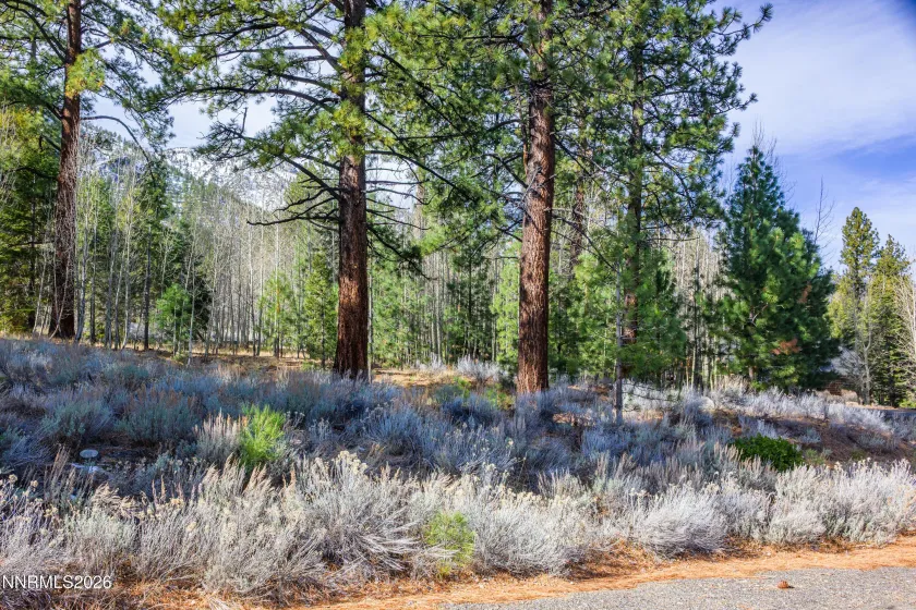 240 Forest Hill, Gardnerville, Nevada 89460, ,Land,Residential,Forest Hill,0,260001074