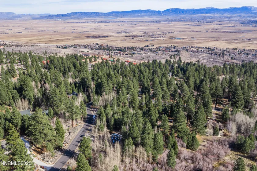 240 Forest Hill, Gardnerville, Nevada 89460, ,Land,Residential,Forest Hill,0,260001074