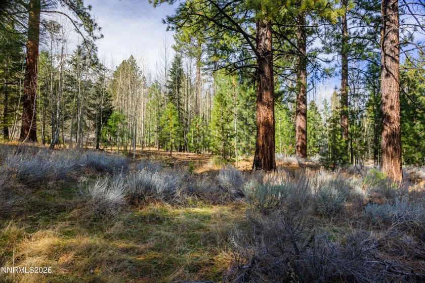 240 Forest Hill, Gardnerville, Nevada 89460, ,Land,Residential,Forest Hill,0,260001074