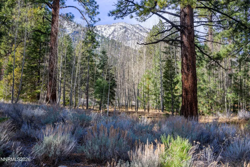 240 Forest Hill, Gardnerville, Nevada 89460, ,Land,Residential,Forest Hill,0,260001074