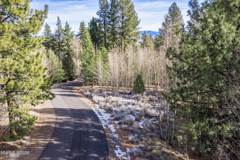 240 Forest Hill, Gardnerville, Nevada 89460, ,Land,Residential,Forest Hill,0,260001074