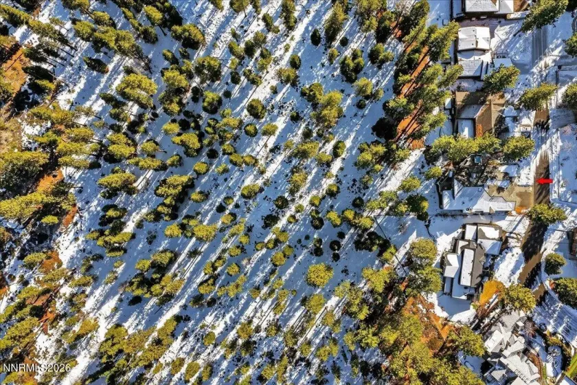 1264 Hidden Woods, Glenbrook, Nevada 89413, 5 Bedrooms Bedrooms, ,6 BathroomsBathrooms,Residential,Residential,Hidden Woods,260001087