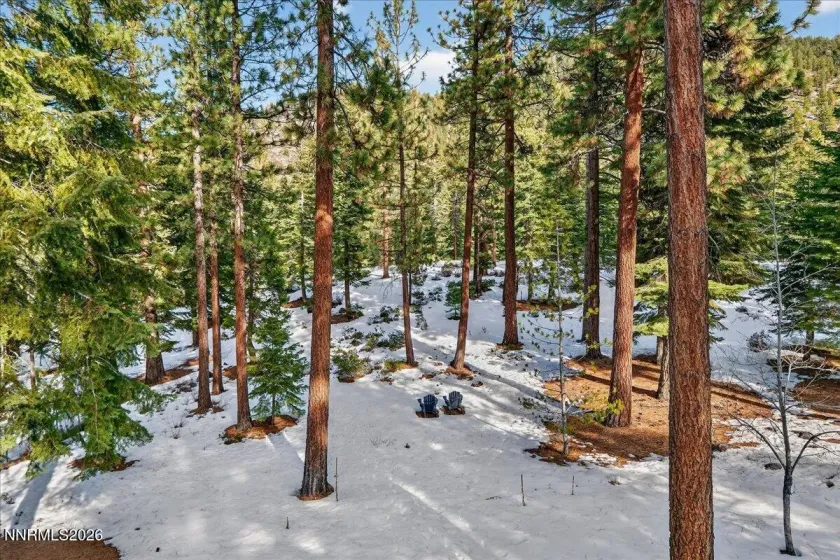 1264 Hidden Woods, Glenbrook, Nevada 89413, 5 Bedrooms Bedrooms, ,6 BathroomsBathrooms,Residential,Residential,Hidden Woods,260001087