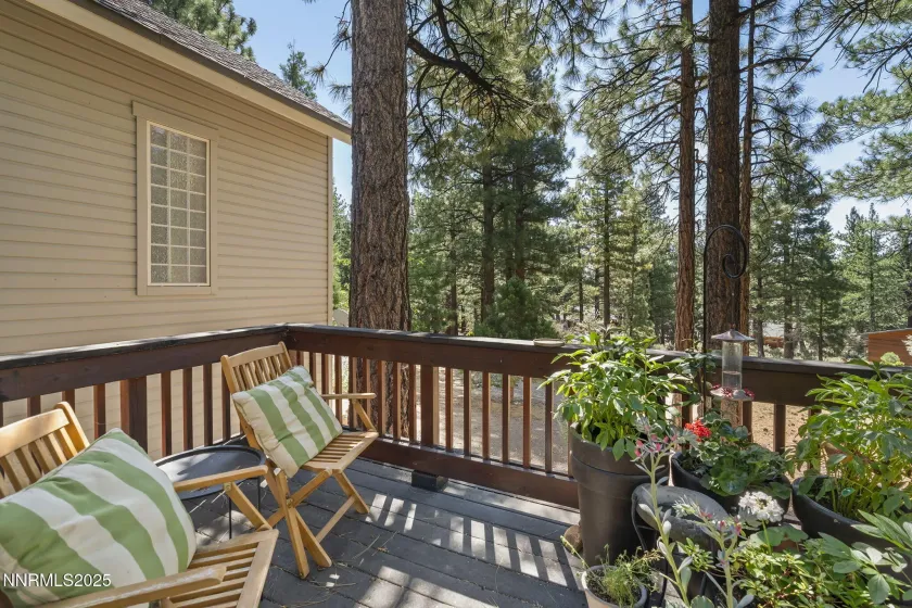 1690 Green Ash, Reno, Nevada 89511, 3 Bedrooms Bedrooms, ,4 BathroomsBathrooms,Residential,Residential,Green Ash,260001092