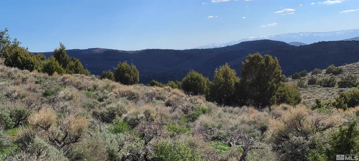 0 Left Hand Canyon, Reno, Nevada 89510, ,Land,Residential,Left Hand Canyon,0,230004823