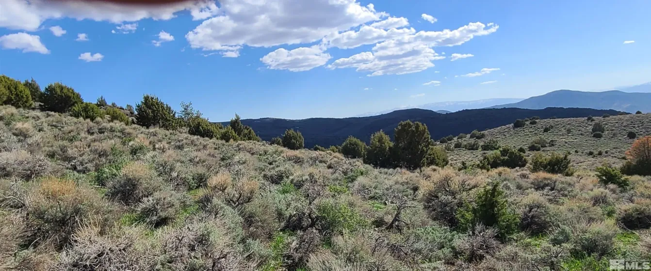 0 Left Hand Canyon, Reno, Nevada 89510, ,Land,Residential,Left Hand Canyon,0,230004823
