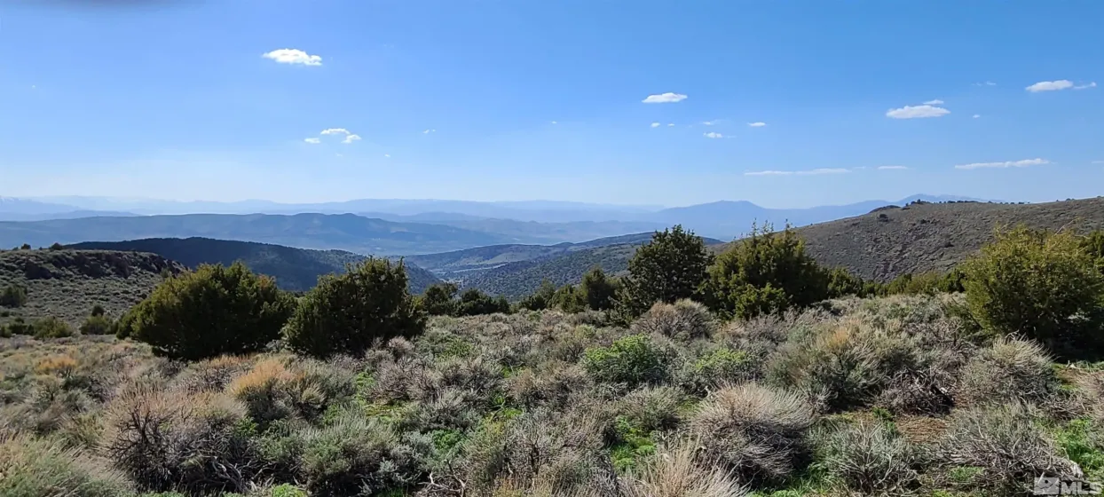 0 Left Hand Canyon, Reno, Nevada 89510, ,Land,Residential,Left Hand Canyon,0,230004823