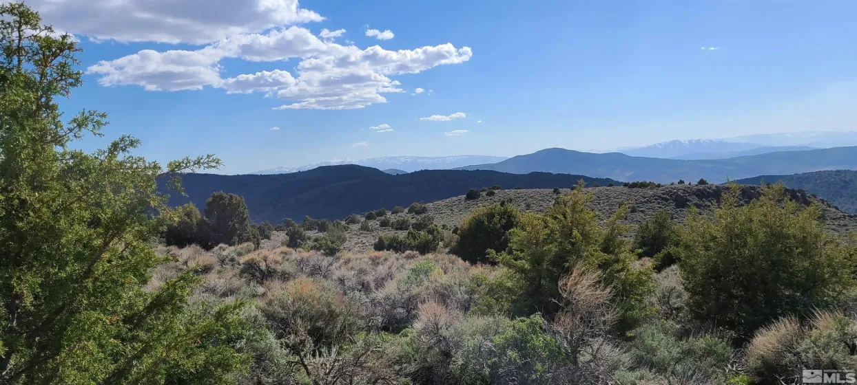 0 Left Hand Canyon, Reno, Nevada 89510, ,Land,Residential,Left Hand Canyon,0,230004823