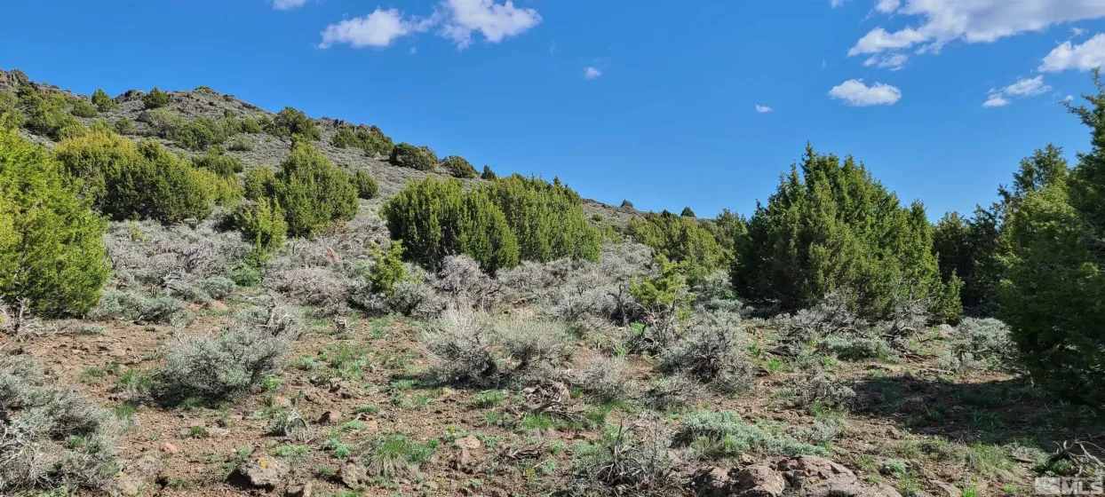 0 Left Hand Canyon, Reno, Nevada 89510, ,Land,Residential,Left Hand Canyon,0,230004823