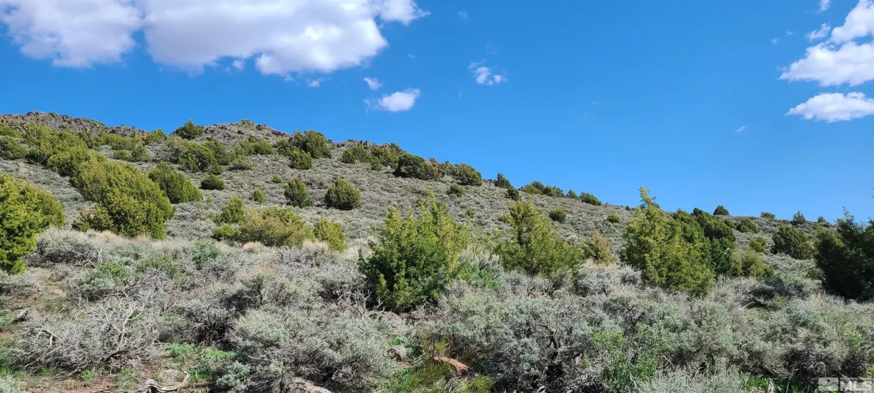 0 Left Hand Canyon, Reno, Nevada 89510, ,Land,Residential,Left Hand Canyon,0,230004823