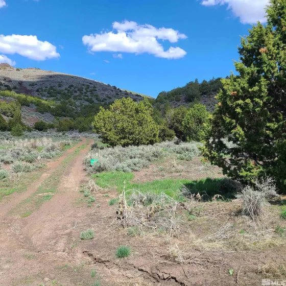 0 Left Hand Canyon, Reno, Nevada 89510, ,Land,Residential,Left Hand Canyon,0,230004823
