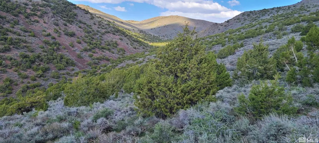 0 Left Hand Canyon, Reno, Nevada 89510, ,Land,Residential,Left Hand Canyon,0,230004823
