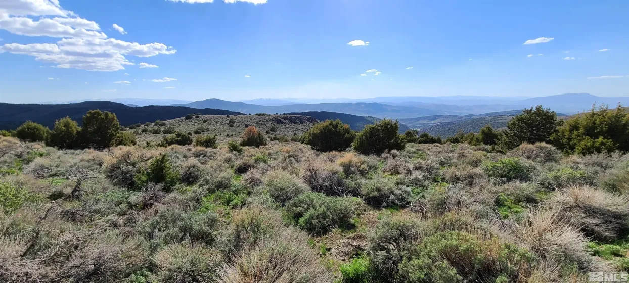 0 Left Hand Canyon, Reno, Nevada 89510, ,Land,Residential,Left Hand Canyon,0,230004823