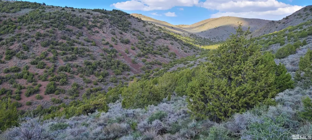 0 Left Hand Canyon, Reno, Nevada 89510, ,Land,Residential,Left Hand Canyon,0,230004823
