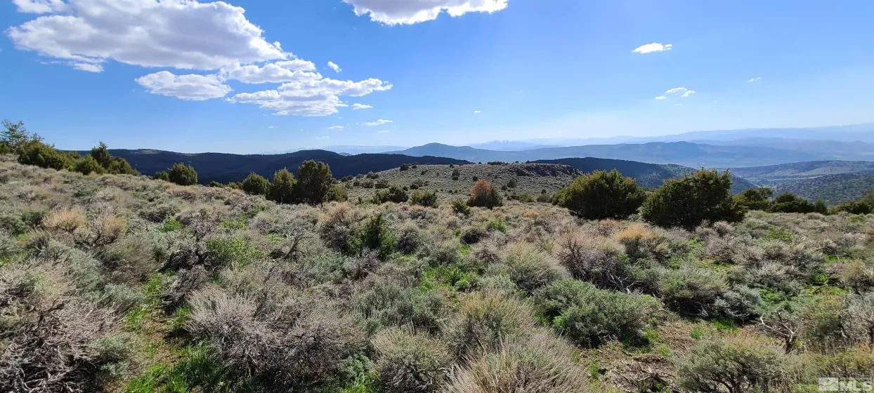 0 Left Hand Canyon, Reno, Nevada 89510, ,Land,Residential,Left Hand Canyon,0,230004823