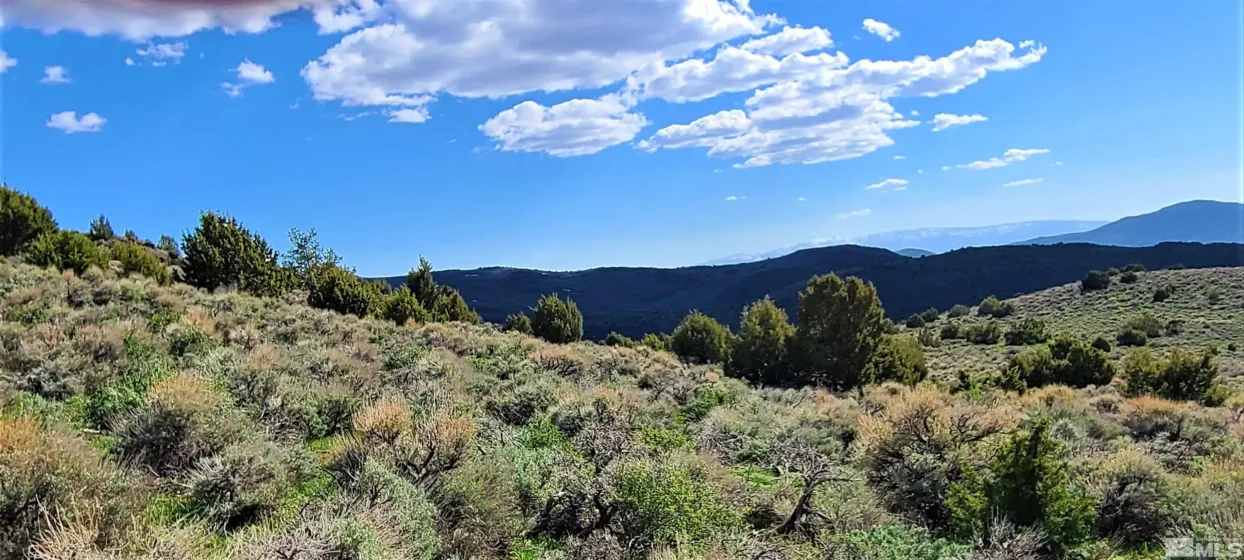 0 Left Hand Canyon, Reno, Nevada 89510, ,Land,Residential,Left Hand Canyon,0,230004823