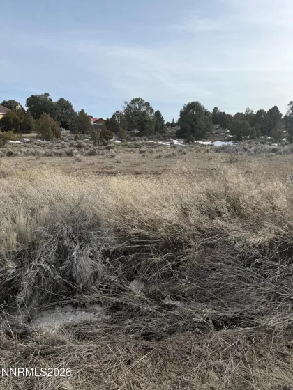 2421 Cartwright, Reno, Nevada 89521, ,Land,Residential,Cartwright,0,260001144