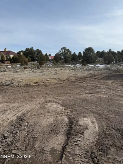 2421 Cartwright, Reno, Nevada 89521, ,Land,Residential,Cartwright,0,260001144