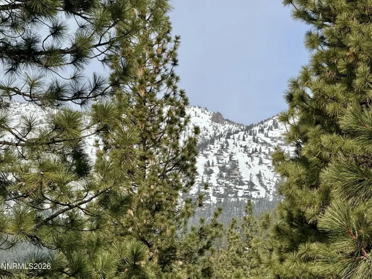 Views from private balcony