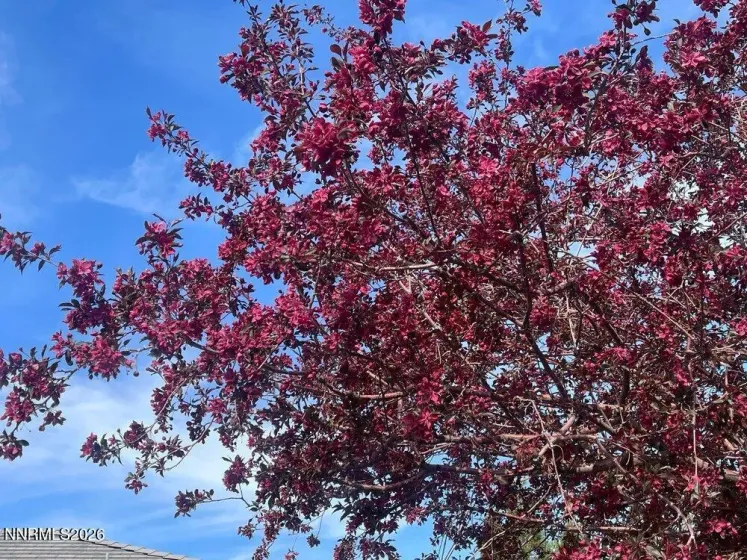 4301 Pinnacle Vista, Sparks, Nevada 89436, 4 Bedrooms Bedrooms, ,3 BathroomsBathrooms,Residential,Residential,Pinnacle Vista,260001170