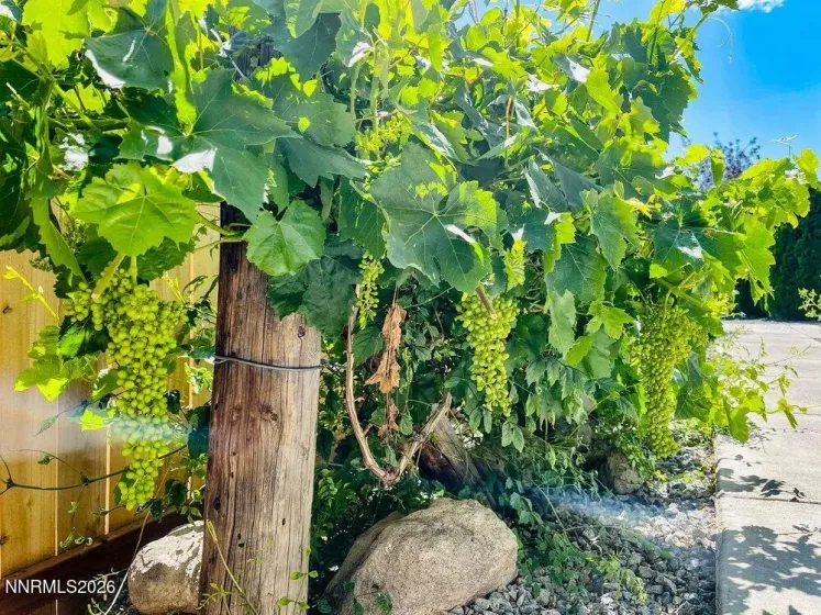 4301 Pinnacle Vista, Sparks, Nevada 89436, 4 Bedrooms Bedrooms, ,3 BathroomsBathrooms,Residential,Residential,Pinnacle Vista,260001170