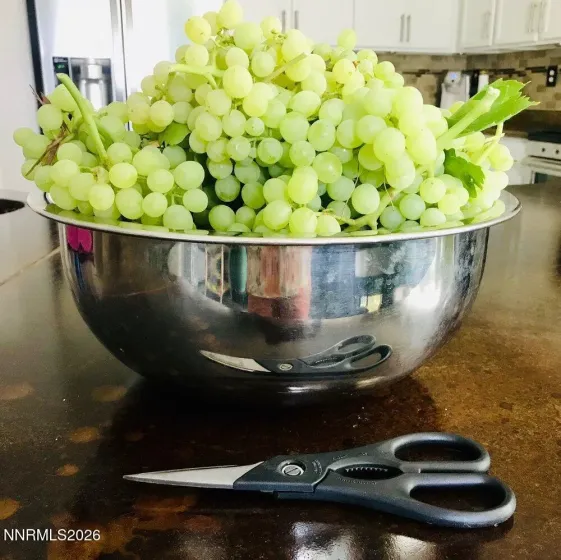 4301 Pinnacle Vista, Sparks, Nevada 89436, 4 Bedrooms Bedrooms, ,3 BathroomsBathrooms,Residential,Residential,Pinnacle Vista,260001170