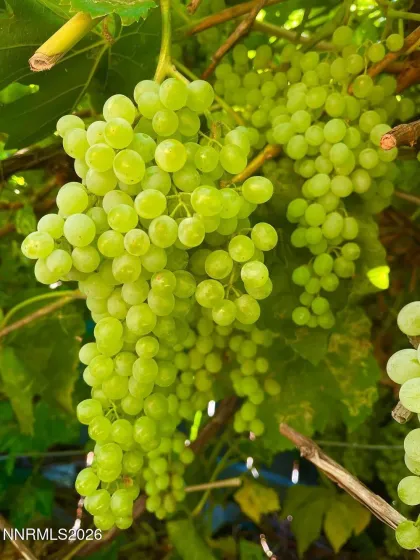 4301 Pinnacle Vista, Sparks, Nevada 89436, 4 Bedrooms Bedrooms, ,3 BathroomsBathrooms,Residential,Residential,Pinnacle Vista,260001170