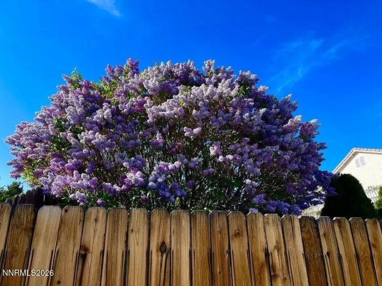 4301 Pinnacle Vista, Sparks, Nevada 89436, 4 Bedrooms Bedrooms, ,3 BathroomsBathrooms,Residential,Residential,Pinnacle Vista,260001170