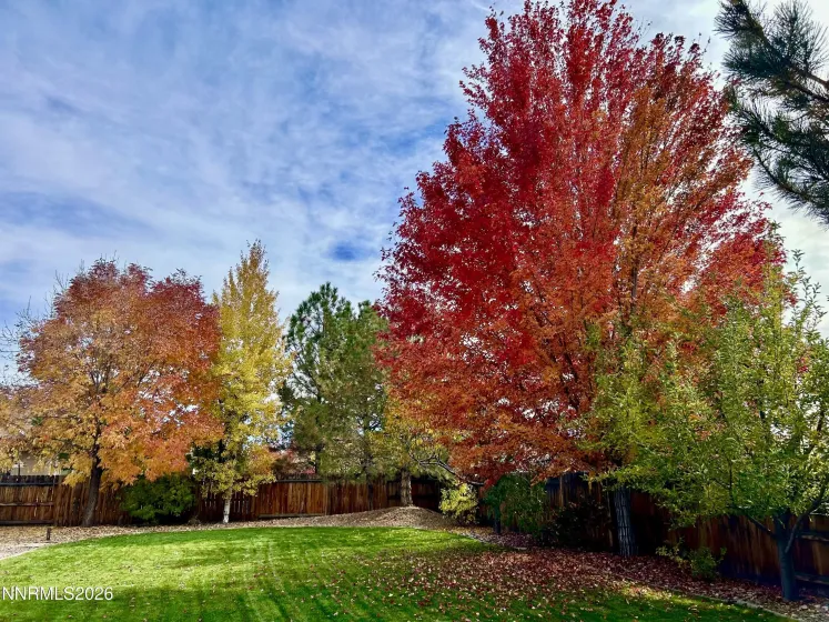 2878 Del Mar, Minden, Nevada 89423, 3 Bedrooms Bedrooms, ,2 BathroomsBathrooms,Residential,Residential,Del Mar,260001177