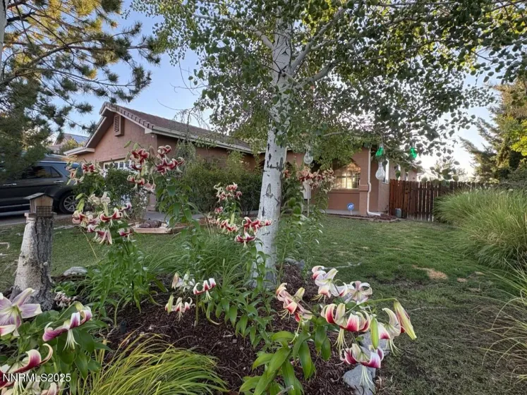 6515 Jamon, Sparks, Nevada 89436, 4 Bedrooms Bedrooms, ,3 BathroomsBathrooms,Residential,Residential,Jamon,250053501