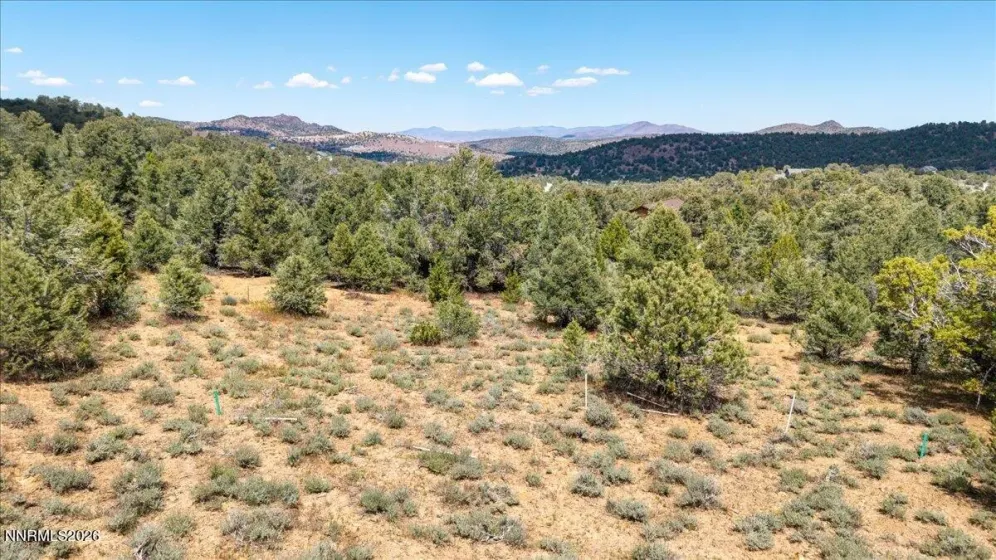 21740 Clemens, Reno, Nevada 89521, ,Land,Residential,Clemens,0,260001207