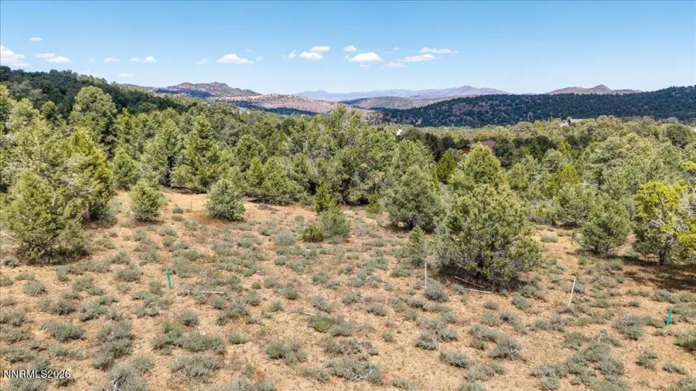 21740 Clemens, Reno, Nevada 89521, ,Land,Residential,Clemens,0,260001207